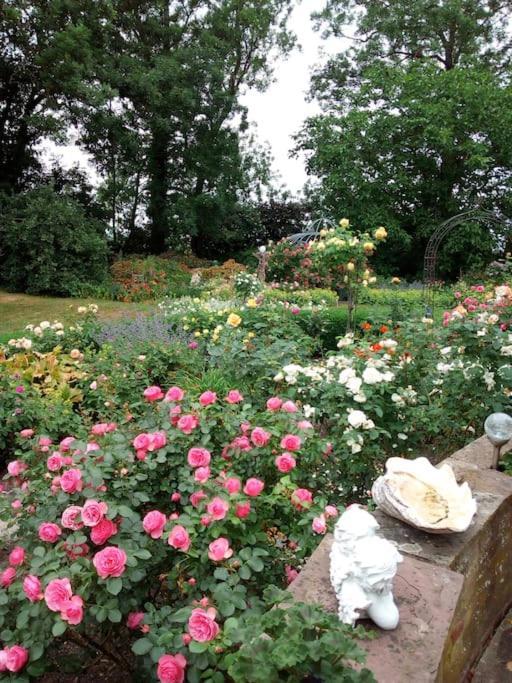 Ferienhaus Rosengarten Loxstedt 외부 사진
